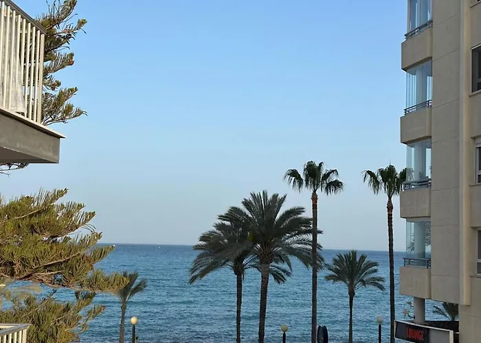 Blanco Albir *